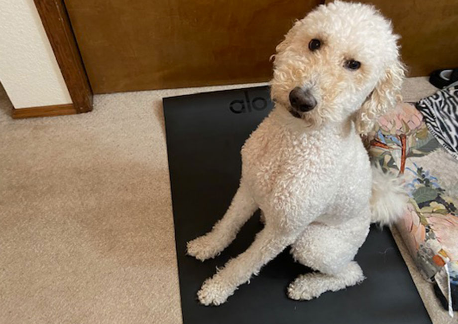 Alo Yoga Discount Code (2026)