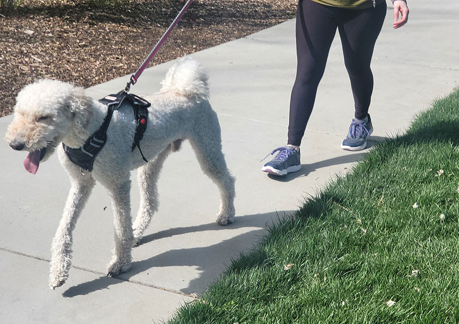 KURU QUANTUM 2.0 Review (2026): These Shoes Were Made For Walking